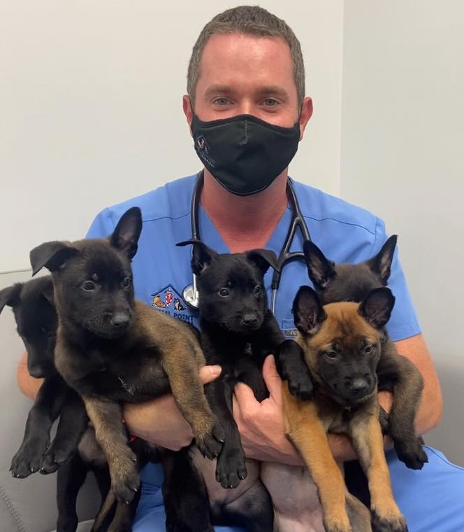 Dr. with Lots of PUPPIES!