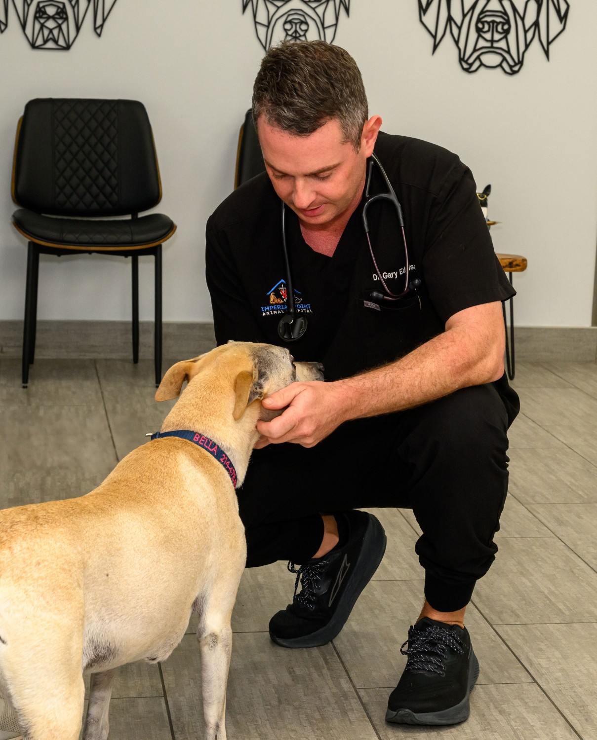 Doctor with Elder Dog Doctor with Elder Dog