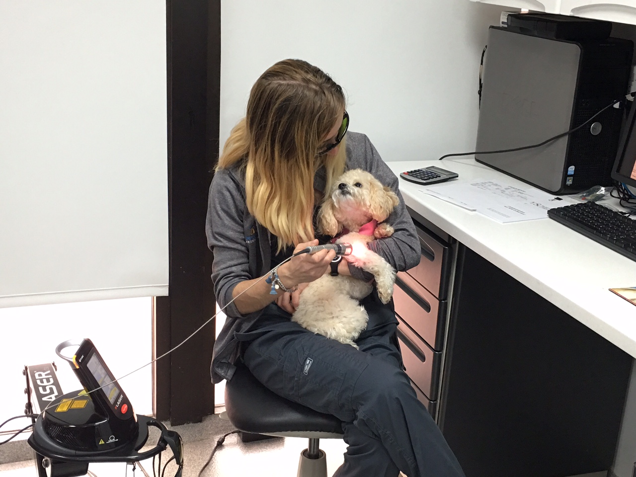 K-LASER THERAPY