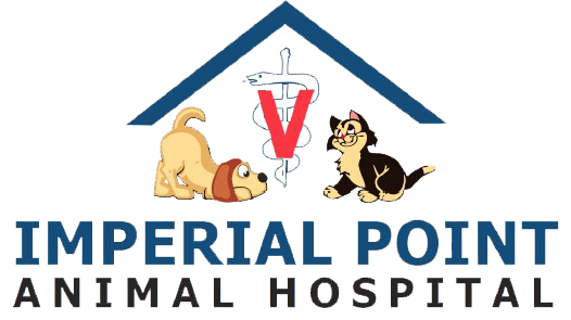 Careers - Imperial Point Animal Hospital of Delray - Delray Beach, FL