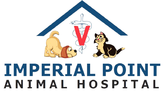 Careers - Imperial Point Animal Hospital of Delray - Delray Beach, FL Careers - Imperial Point Animal Hospital of Delray - Delray Beach, FL
