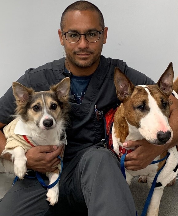 38 Top Photos Imperial Beach Pet Hospital / Parkview Pet Hospital | Veterinarian Long Beach, Lakewood ...