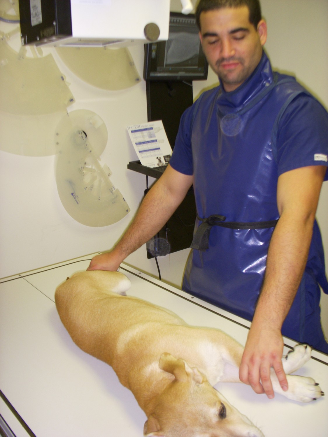 Radiology Radiology