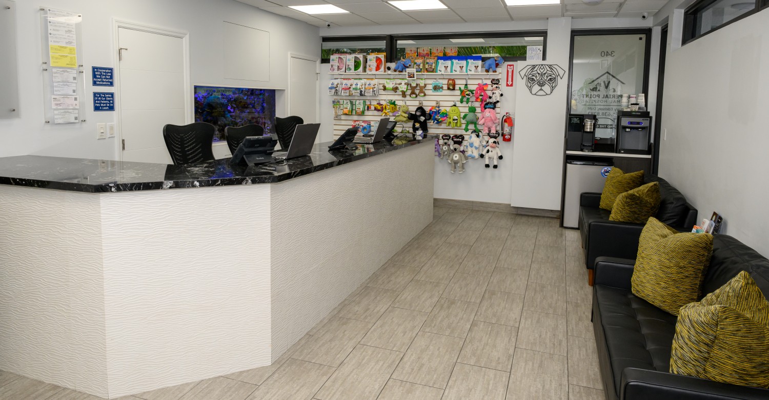 Our Reception Desk