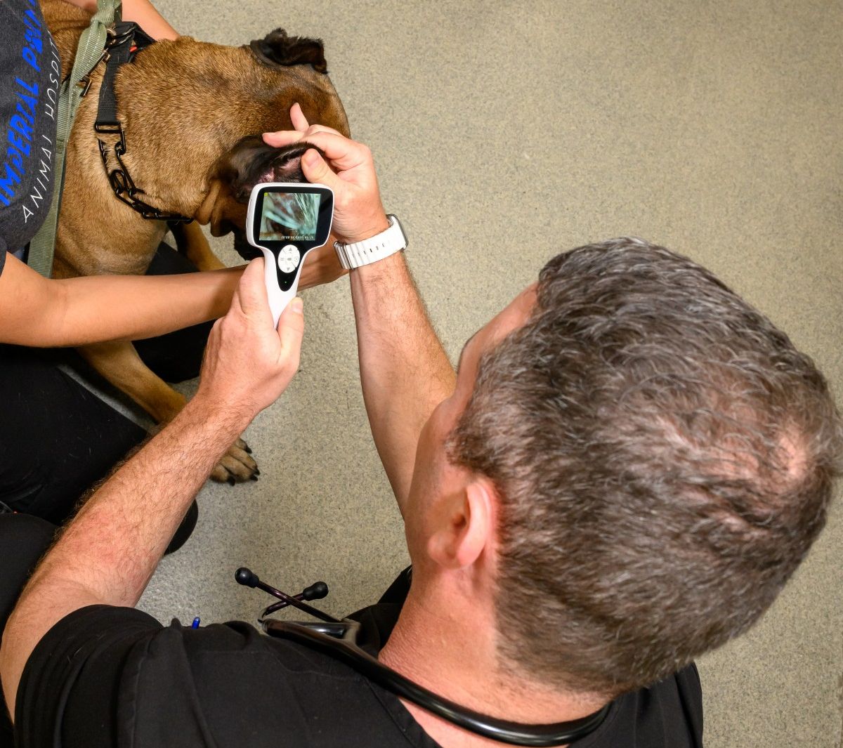Dr performing wellness exam