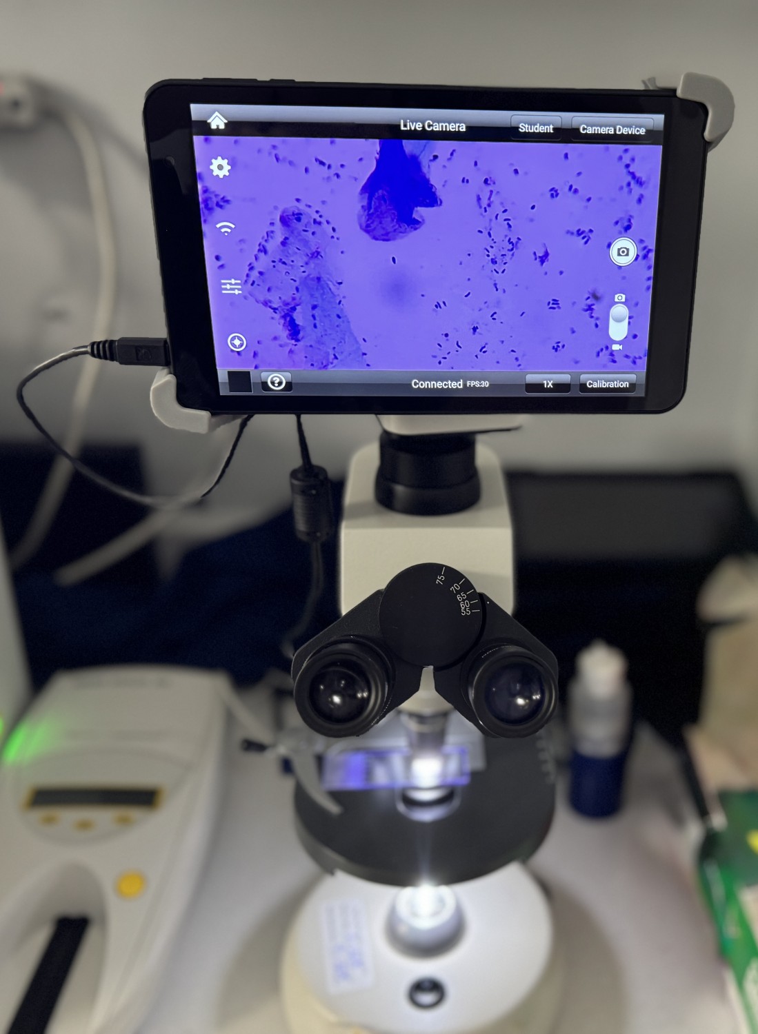 In-House Diagnostics